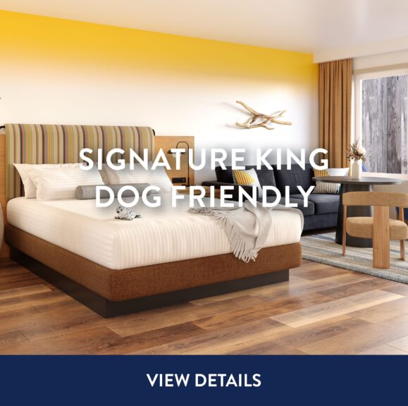 Inn-at-Cape-Kiwanda-Signature-King-Dog-Friendly-2025