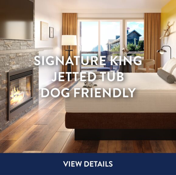 Inn-at-Cape-Kiwanda-Signature-King-Jetted-Tub-Dog-Friendly-2025