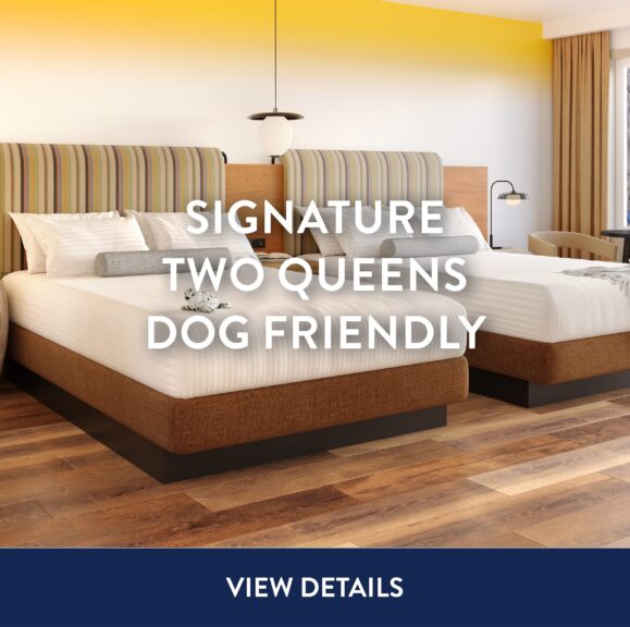 Inn-at-Cape-Kiwanda-Signature-Two-Queens-Dog-Friendly-2025